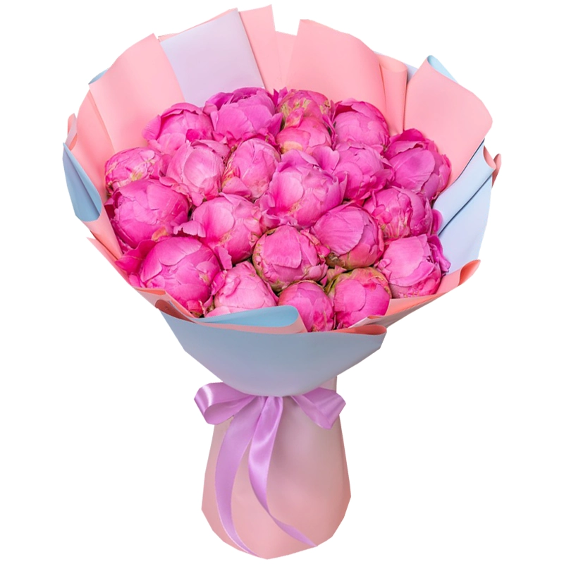 Букет из 21 розового пиона