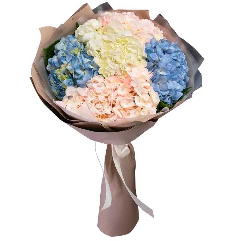 Букет из 5 разноцветных гортензий
