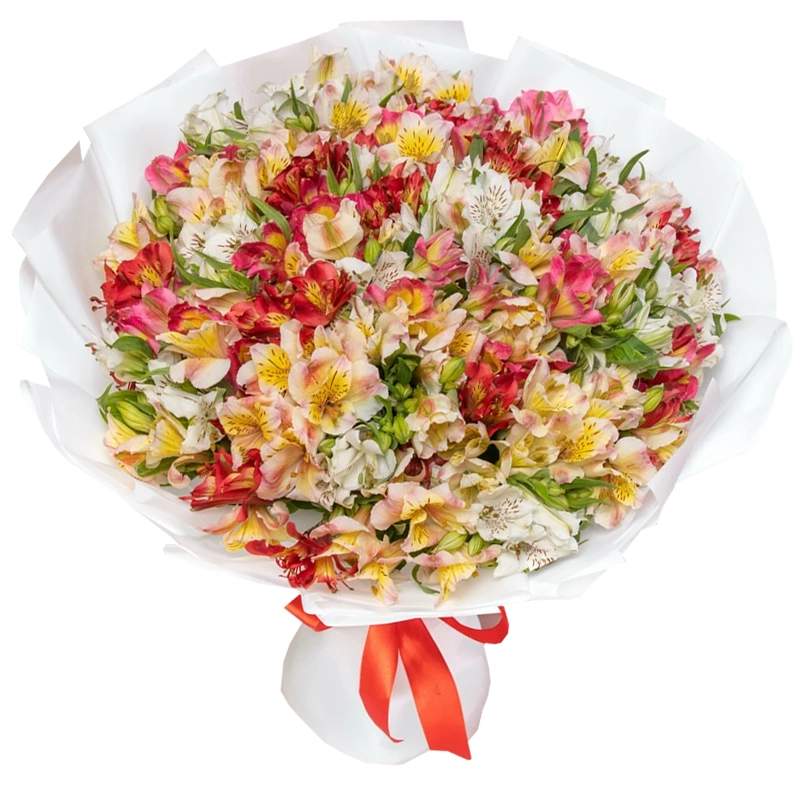 Букет из 51 альстромерии