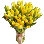 Тюльпан желтый